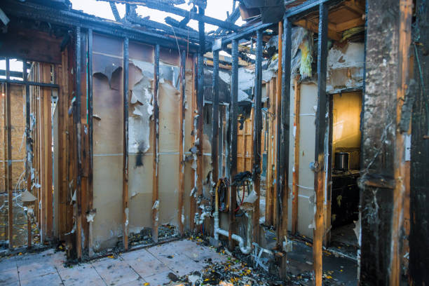Professional Fire Damage Removal technician working in Forsyth, MT